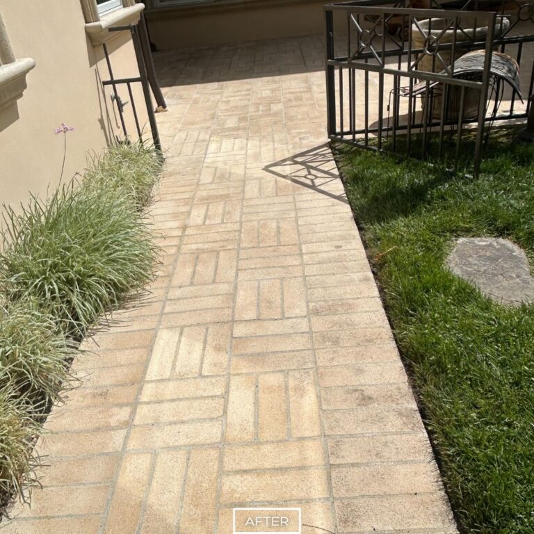 After restoration of outdoor concrete paver walkway beside landscaped garden.