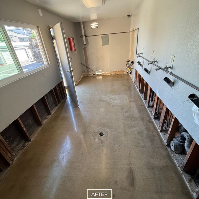 Polished concrete floor with even surface and natural sheen, completed after grinding and adhesive removal.